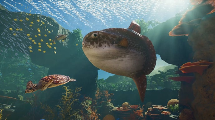 Az idén érkező Planet Zoo 2 vízi állatokkal bővül, és ez a holdhal-rajongók számára óriási győzelem